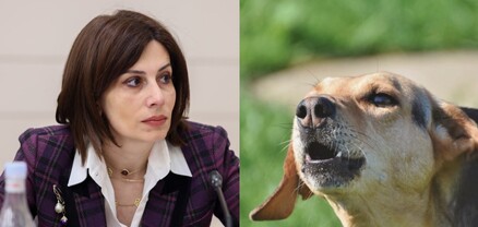 Շան կծելու հետևանքով ունեցել ենք մահվան դեպքեր․ ԱՆ նախարարը զգոնության կոչ է անում