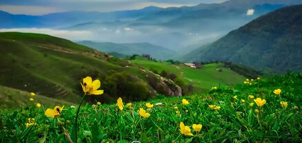 Դիմաց լեռից իջնելիս՝ Թեղուտ գյուղի անտառում, 20 հոգանոց արշավախումբը մոլորվել էր