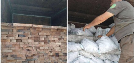 Ապօրինի փայտանյութի ու սևահողի տեղափոխում, մթնոլորտային օդի աղտոտում․ ԲԸՏՄ ստուգայցերի արդյունքներ