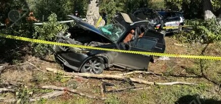 Տավուշի մարզում 31-ամյա ՊՆ ծառայողը «Infiniti»-ով բախվել է հաստաբուն ծառին․ 5 վիրավորներից 3-ը անչափահասներ են․ shamshyan.com