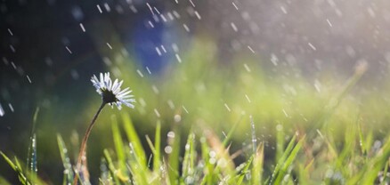 Սպասվում է անձրև և ամպրոպ. օդի ջերմաստիճանը կնվազի 5-7 աստիճանով