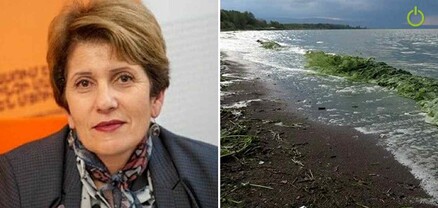 Սևանի ծրագրերի վրա միլիոնավոր դոլարներ ծախսվեցին, բայց ոչինչ չփոխվեց․ բնապահպան