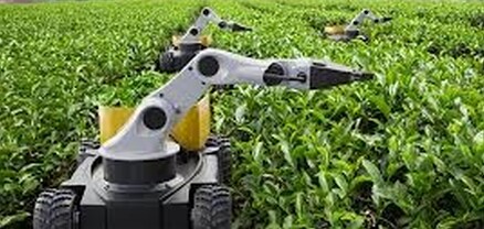 Ռոբոտները կառավարում են դաշտերը