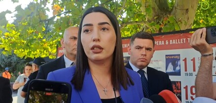 Նարեկ Մկրտչյանի եղբոր մոտ թմրանյութ ու զենք չի հայտնաբերվել մյուս անձն է փախել ու դուրս նետել դրանք․ ՆԳ նախարար