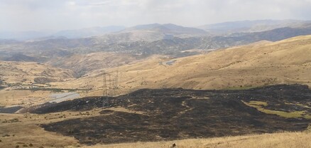 Հրդեհի հետևանքով բուսական աշխարհին պատճառված վնասի փաստով ԲԸՏՄ-ն հաղորդում է ներկայացրել Քննչական կոմիտե