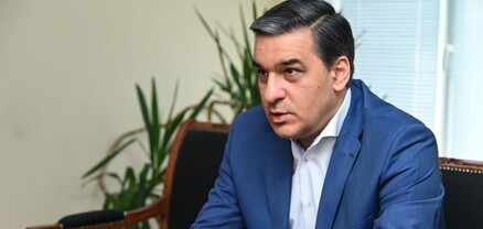 Մեր երկրում նոր թափ է ստանում բռնությամբ հարցեր լուծելու արատավոր երևույթը. Թաթոյան