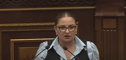 Այդ ինքնիշխանությունն ինչ պոզով-պոչով կենդանի է, կնկարագրե՞ք. Քրիստինե Վարդանյան