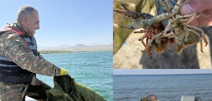 Սևանա լճում հայտնաբերվել են ապօրինի խեցգետնորսիչներ և ձկնորսական ցանցեր