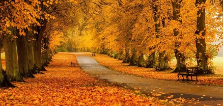 Մեզ սպասվում է նորմայից տաք և սակավատեղում հոկտեմբեր. Գագիկ Սուրենյան