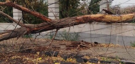 Քամու հետևանքով Երևանում գրանցվել է արտակարգ 6 դեպք․ վնասվել են ծառեր և շինության տանիքներ