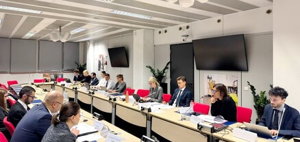 ՀՀ-ԵՄ կոմիտեի նիստում քննարկվել են վիզայի դյուրացման և շենգենյան ընթացակարգի բարելավման հարցեր