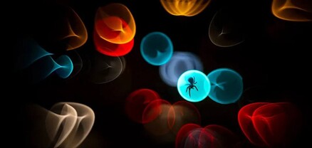 Բացահայտելով բնությունը․ հայտնի են 2025 թ. վայրի բնության լավագույն լուսանկարիչները