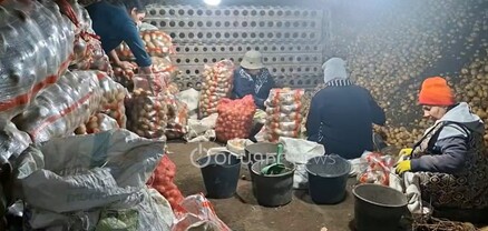 Դառը քրտինք կթափենք, վերջում բերքը ջրի գնով էլ չենք կռնա ծախենք