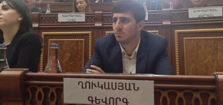 Վարդան Ղուկասյանի եղբոր թոռը 2 ամսով կալանավորվեց