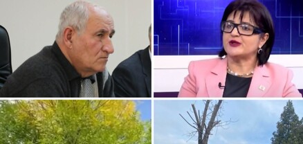 Կանաչապատման ՀՈԱԿ-ը փողոցների ծառերը այլանդակեց, հիմա էլ անցել է դպրոցներին