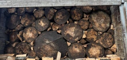 Հայտնաբերվել է ապօրինի փայտանյութ և օդի աղտոտման դեպքեր. ԲԸՏՄ