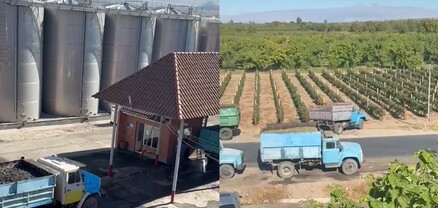 Խաղողի մթերման գործընթացն ընթանում է ամբողջ թափով․ Գևորգ Պապոյան