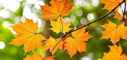 Սեպտեմբերի միջին ամսական ջերմաստիճանը Հայաստանում կազմել է 13․1°C, որը նորմայից ցածր էր 0․8°C-ով