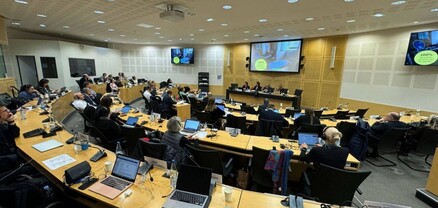 ՀՀ ՄԻՊ-ը մասնակցել է Խոշտանգումների և պատժի կանխարգելման կոմիտեի 118-րդ լիագումար նիստին