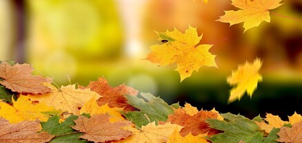 Օդի ջերմաստիճանը կբարձրանա