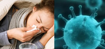 Սրացումներ, օրգանների ախտահարում․ «Հոնկոնգյան գրիպ»-ն առաջին անգամը չէ ՀՀ-ում