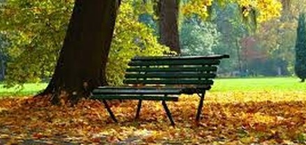 Սպասվում է առանց տեղումների եղանակ, օդի ջերմաստիճանն էապես չի փոխվի