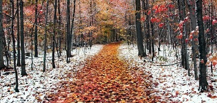 Սպասվում են տեղումներ, լեռնային գոտիներում՝ ձնախառն անձրևի տեսքով