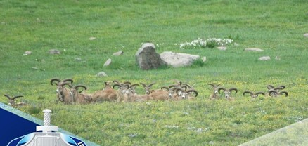 ՀՀ է վերադարձվել Արարատի մարզի տարածքում գտնվող՝ 158 միլիոն 263 հազար դոլար արժեքով շուրջ 5330 հա մակերեսով հողատարածք