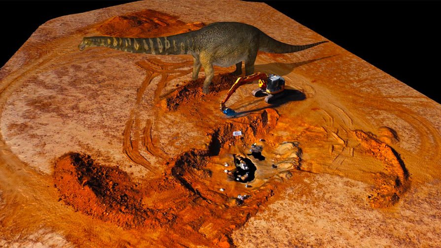 Ավստրալիայում հայտնաբերված դինոզավրի նոր տեսակը դասակարգվել է որպես մայրցամաքում երբևէ հայտնաբերված ամենամեծ տեսակ