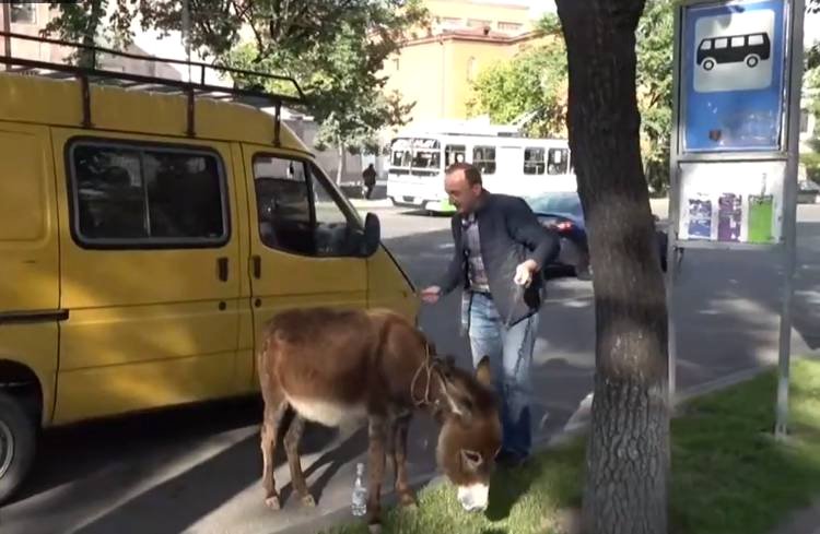  «Աստղ ես դառել, աստղ»․ Քոչարյանը կատակով դիմել է ԱԺ-ի դիմաց իր էշին բերած աչաջուրցուն 