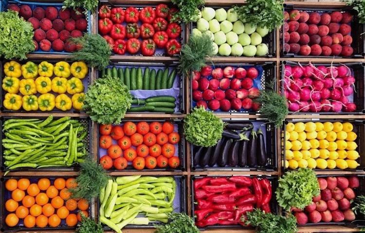 Իրանը ցանկանում է Վրաստանում և Ադրբեջանում արտերկրյա մշակաբույսերի նախագծեր սկսել․ Իռնա