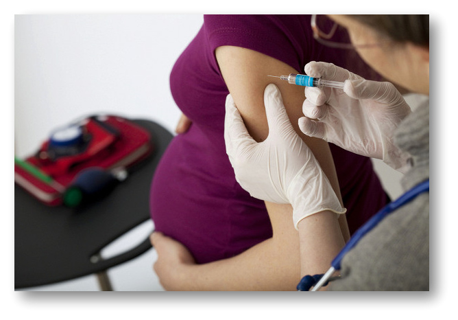 Գինցբուրգը հայտարարել է, որ հղի կանանց պատվաստումը պաշտպանում է նաև նորածիններին