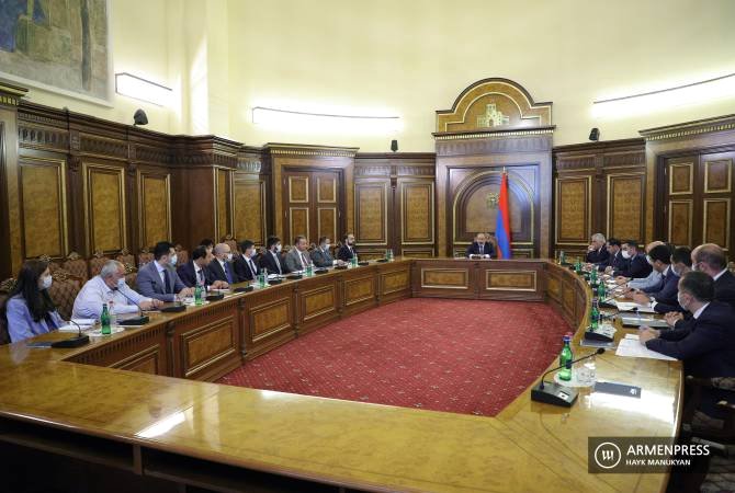Մեր ռազմավարությունն է կաթիլային ոռոգումը. Փաշինյան