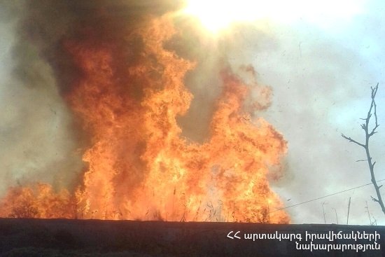 Գեղհովիտ գյուղում այրվել է 40 հակ անասնակեր․ ԱԻՆ