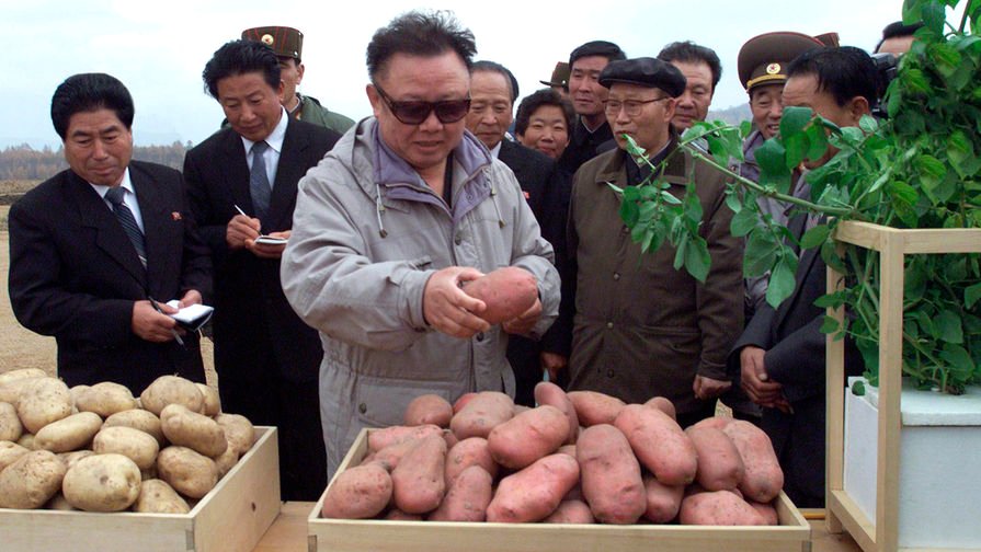 Հյուսիսային Կորեայում բնակչության գրեթե կեսը քաղցած է. ՄԱԿ