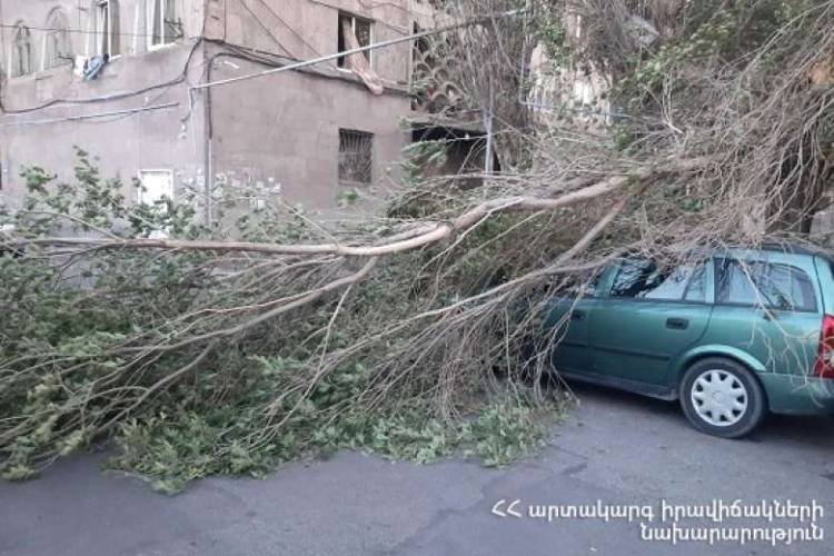 Երևանում ուժգին քամու հետևանքով ավերածություններ են եղել