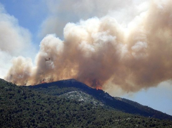 Հունաստանում շոգի պատճառով անտառային հրդեհներ են բռնկվել