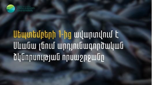 Սեպտեմբերի 1-ից ավարտվում է Սևանա լճում արդյունագործական ձկնորսության որսաշրջանը․ ՇՄՆ