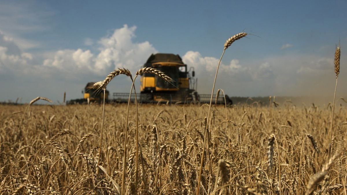 Աշնանացան ցորենի արտադրության խթանման 2021թ. պետական աջակցության ծրագիրը կիրականացվի ՀՀ բոլոր մարզերում