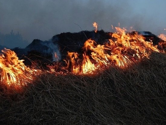 Կրասնոյարսկի երկրամասում անտառային հրդեհների պատճառով ծխածածկվել է գրեթե 400 բնակավայր