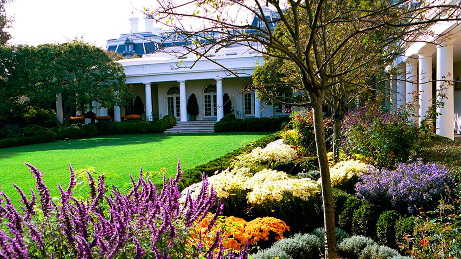 Մելանյա Թրամփը պատասխանել է Սպիտակ տան Վարդերի այգու վերակառուցումը ծաղրող պատմաբանին