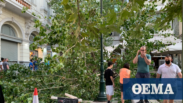 Աթենքում ամերիկյան դեսպանի և սենատորի ընթրիքի ժամանակ ծառ է ընկել