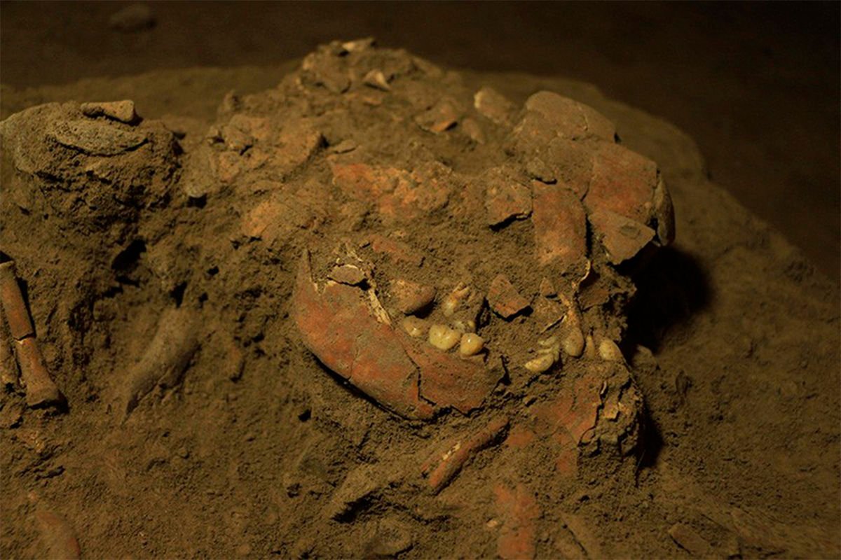 Գիտնականները հայտնաբերել են հնագույն մարդու նախկինում անհայտ տեսակ
