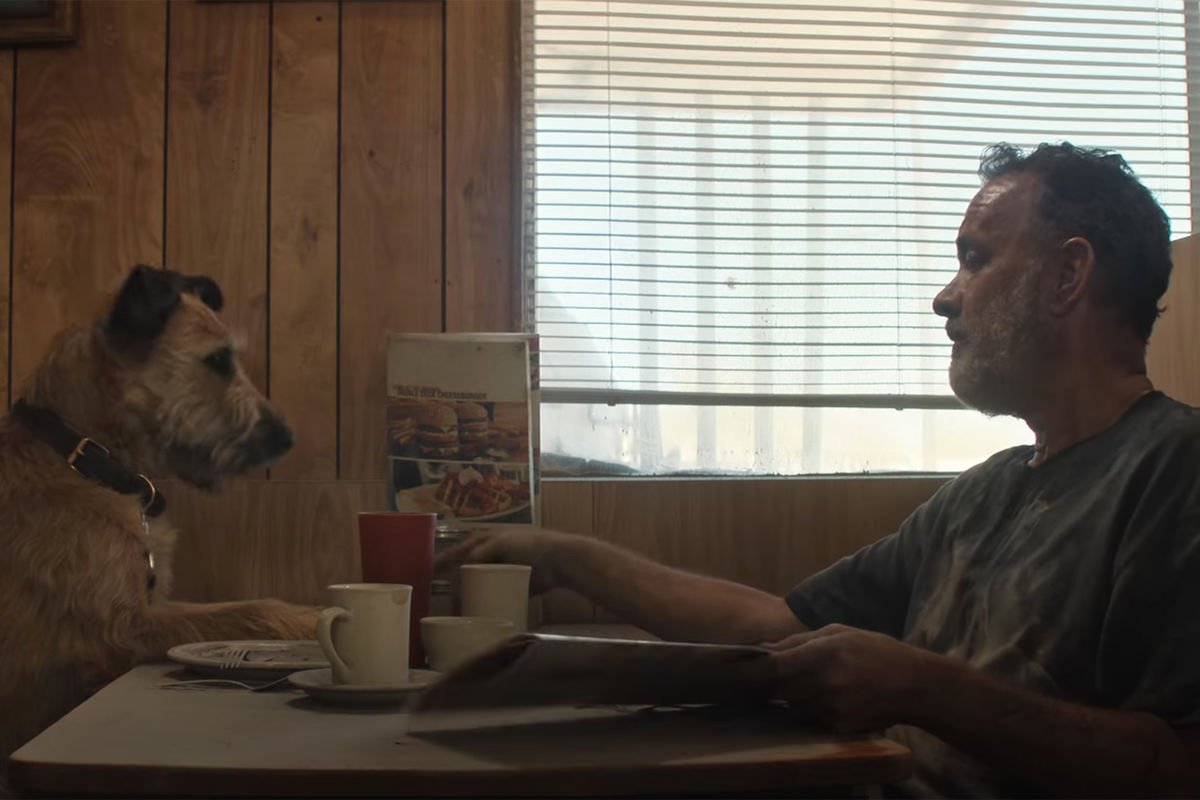  Թոմ Հենքսը շան և ռոբոտի հետ նկարահանվել է «Ֆինչ» ֆանտաստիկ ֆիլմում