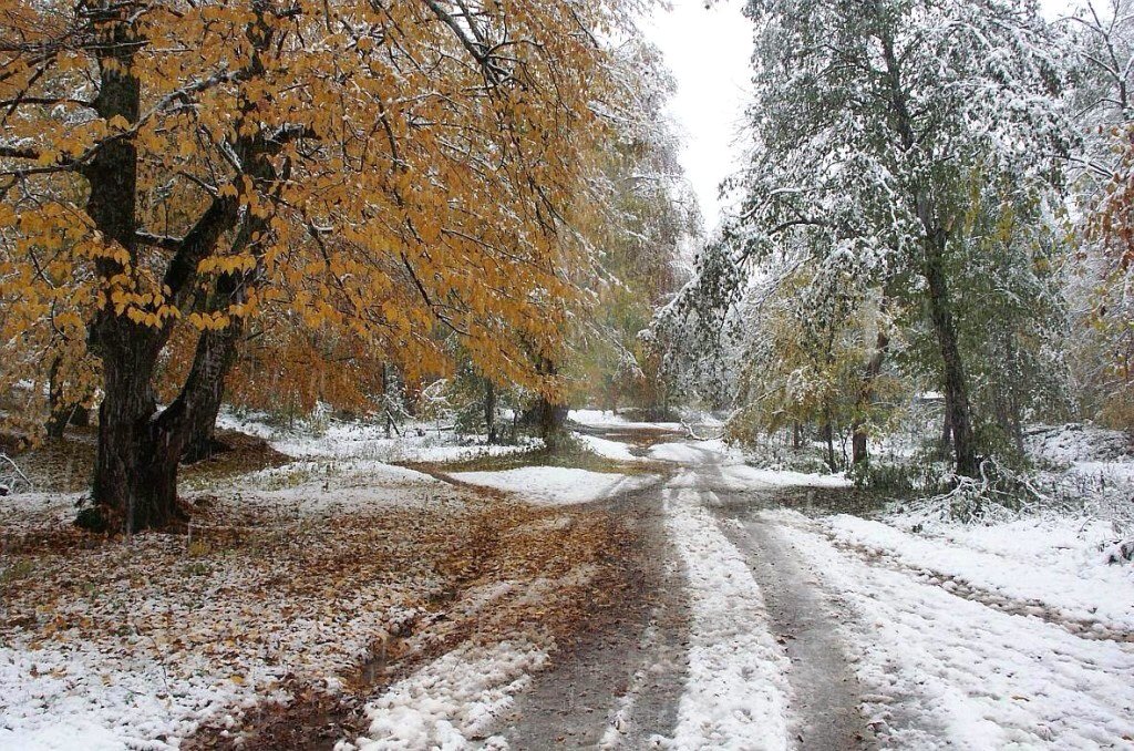 Հայաստանի մի շարք բնակավայրերում տեղում է առաջին ձյունը