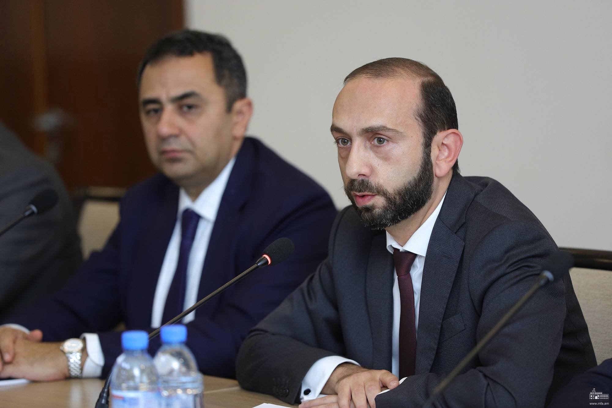 Արարատ Միրզոյանն ընդունել է ԵԽ ներկայացուցիչներին