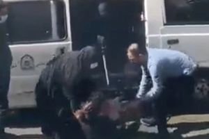 Իրանում «Բարքերի ոստիկանությունը» առանց գլխաշորի կնոջ է բռնել՝ շներ որսալու ձողի օգնությամբ