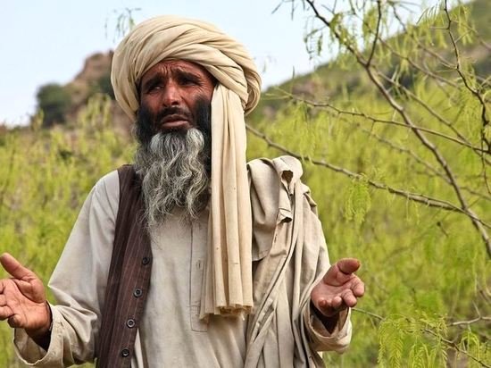 Թալիբներն Աֆղանստանում արգելել են օտար արտարժույթները