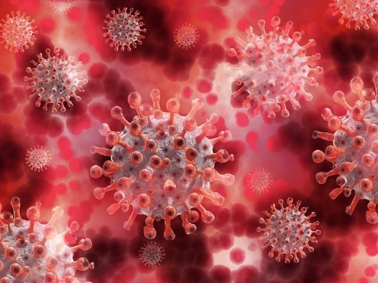 Գիտնականները պարզել են, թե ովքեր ընդհանրապես չեն հիվանդանում կորոնավիրուսով
