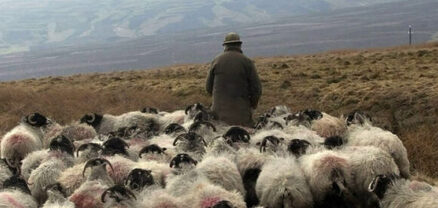Ձեռնարկվում են անհրաժեշտ բոլոր քայլերը ադրբեջանական կողմում հայտնված հովվին վերադարձնելու ուղղությամբ. ՀՀ ՊՆ